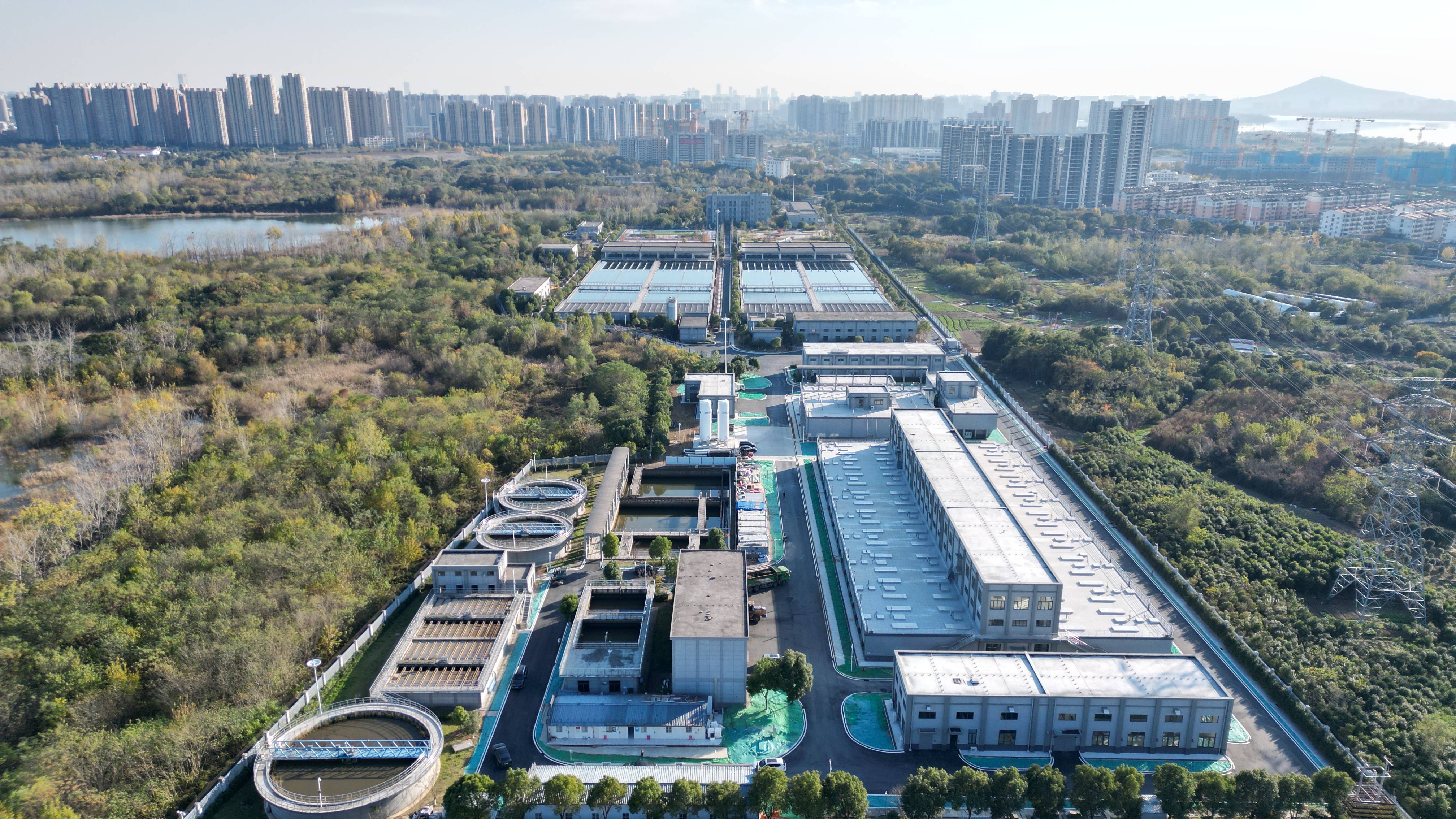白城市合肥专业企业价值增长(合肥市重点企业产业目录)