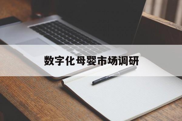 白城市数字化母婴市场调研(数字化母婴市场调研报告)