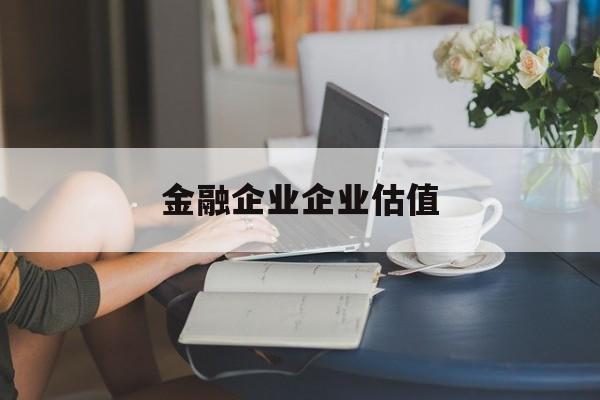 白城市金融企业企业估值(最新企业估值怎么填)